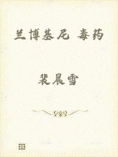 兰博基尼 毒药